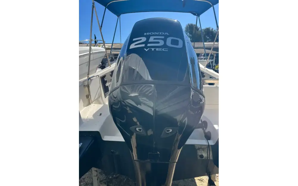 slider 4 White Shark  255