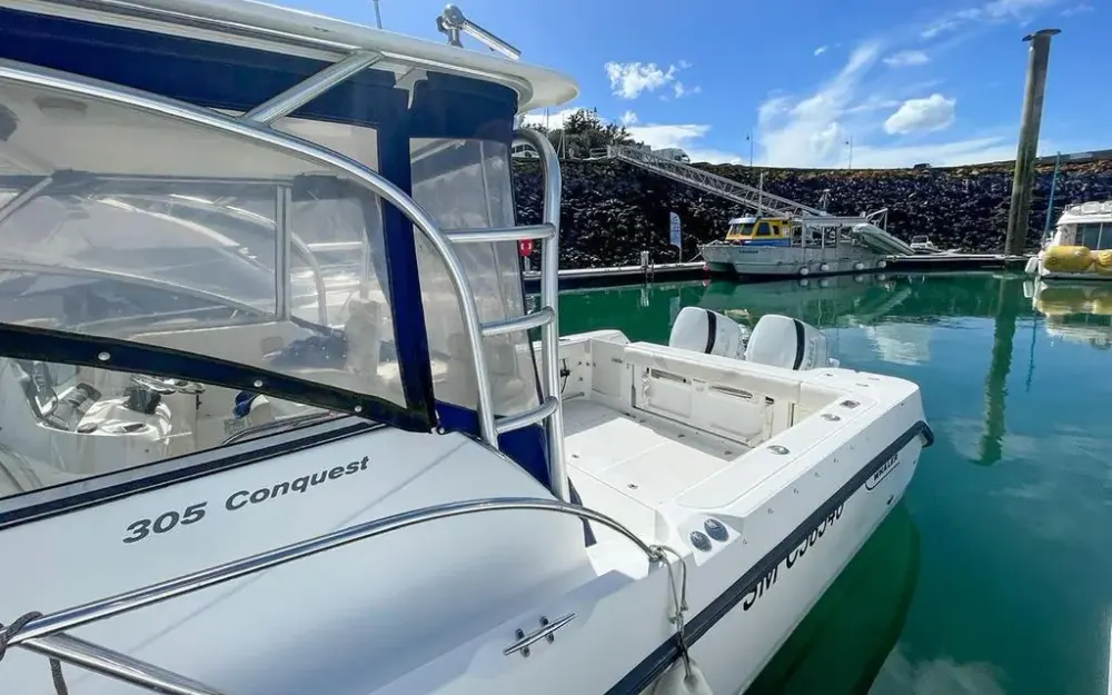 slider 10 Boston Whaler  305 Conquest