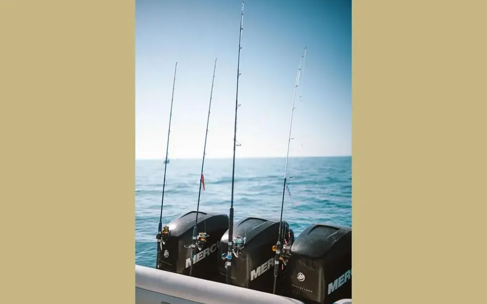 slider 6 Boston Whaler  350 Outrage