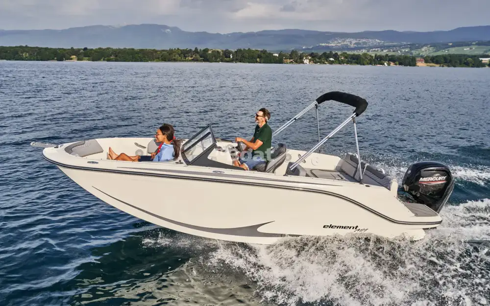 slider 0 Bayliner Element M19