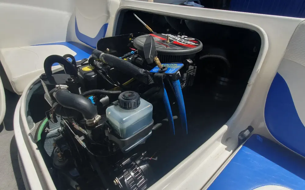 slider 8 Bayliner  175 - null