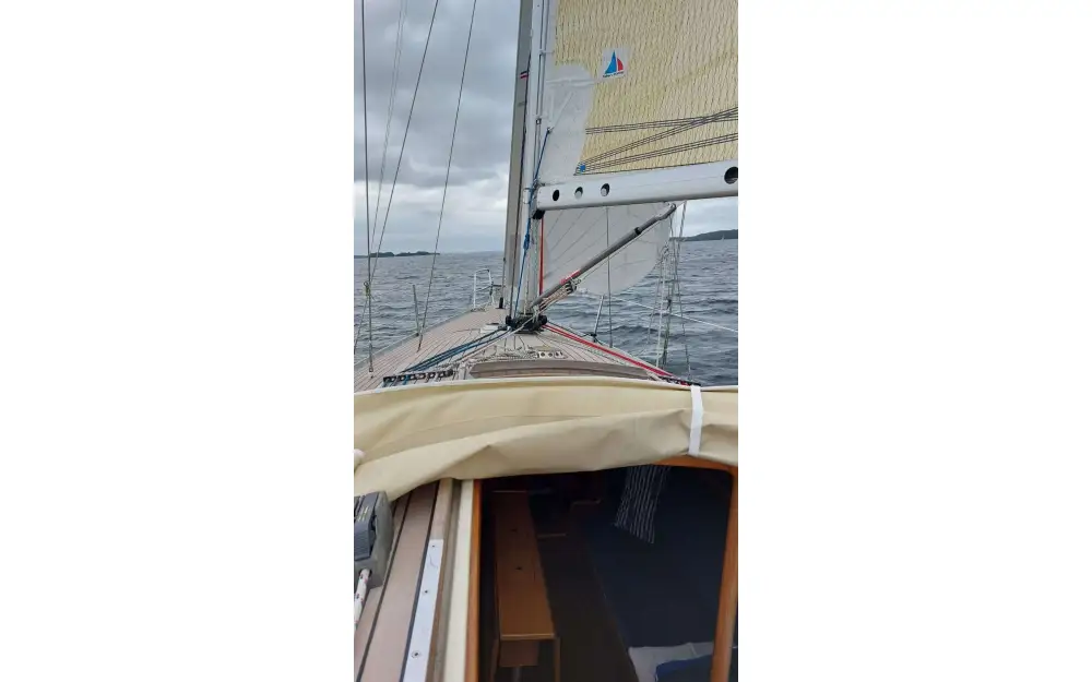 slider 8 Luffe  37