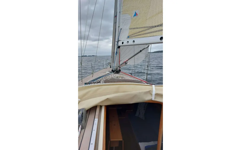 slider 8 Luffe  37 - null