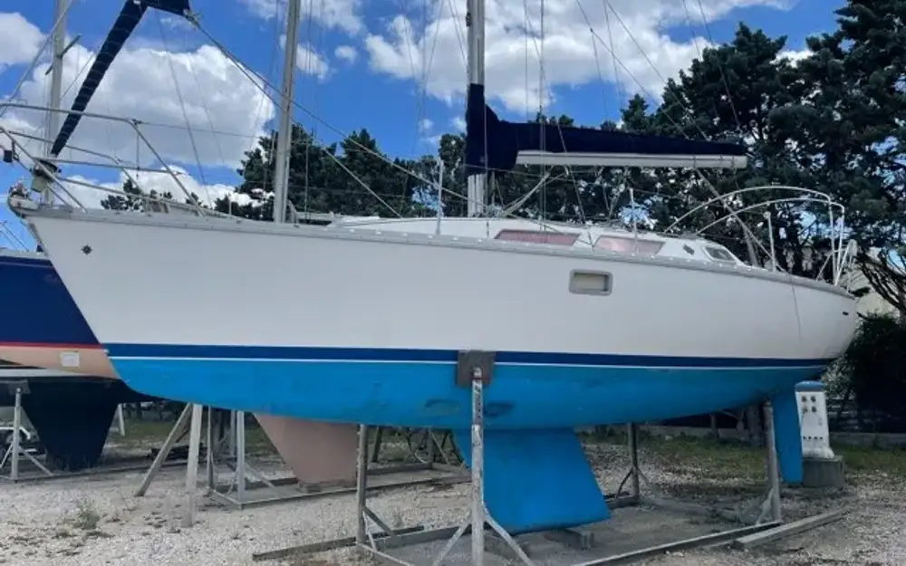 slider 2 Jeanneau Sun Odyssey 31