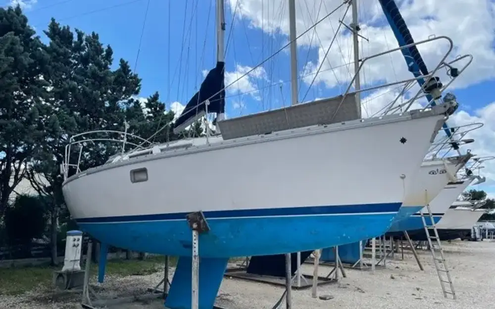 slider 3 Jeanneau Sun Odyssey 31
