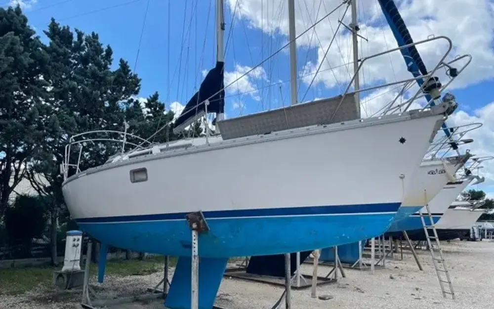 slider 3 Jeanneau Sun Odyssey 31 - null