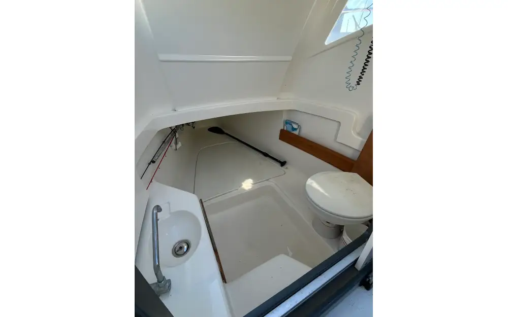 slider 7 White Shark  245