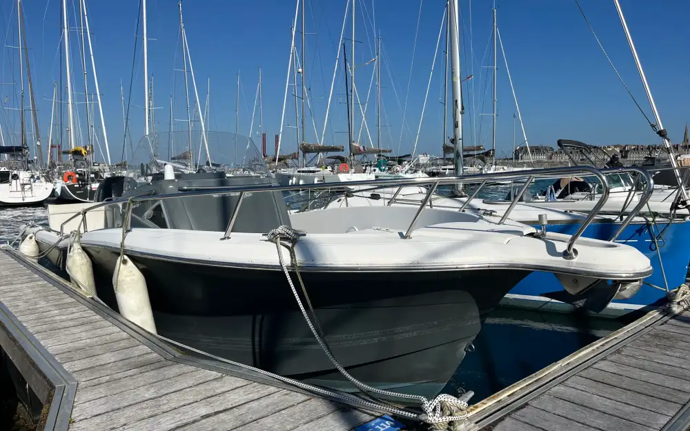 slider 1 White Shark  245