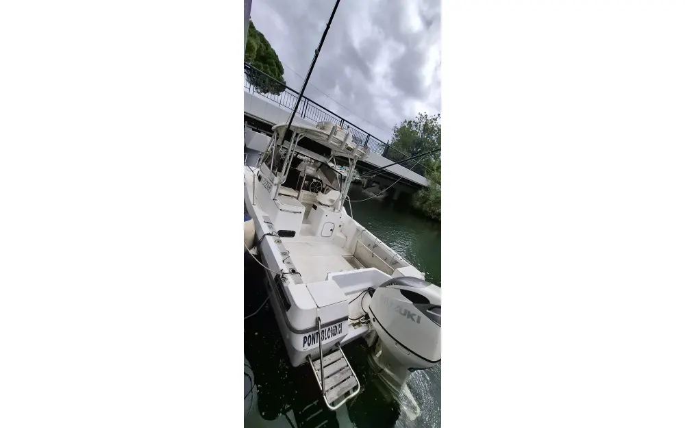 slider 12 Bayliner Trophy 2502 - null