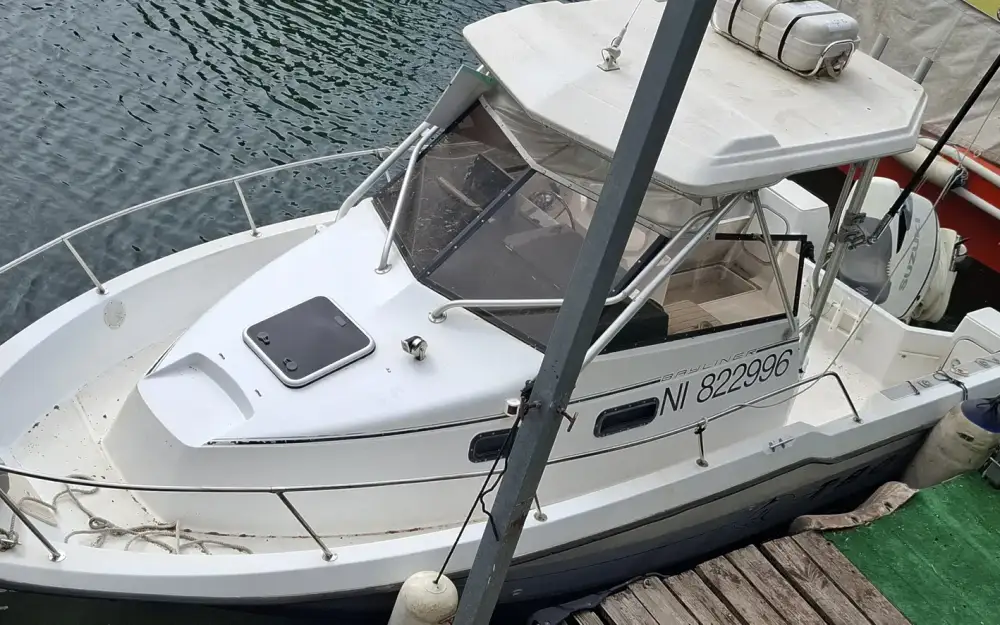 slider 1 Bayliner Trophy 2502