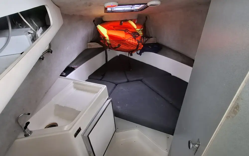 slider 4 Bayliner Trophy 2502