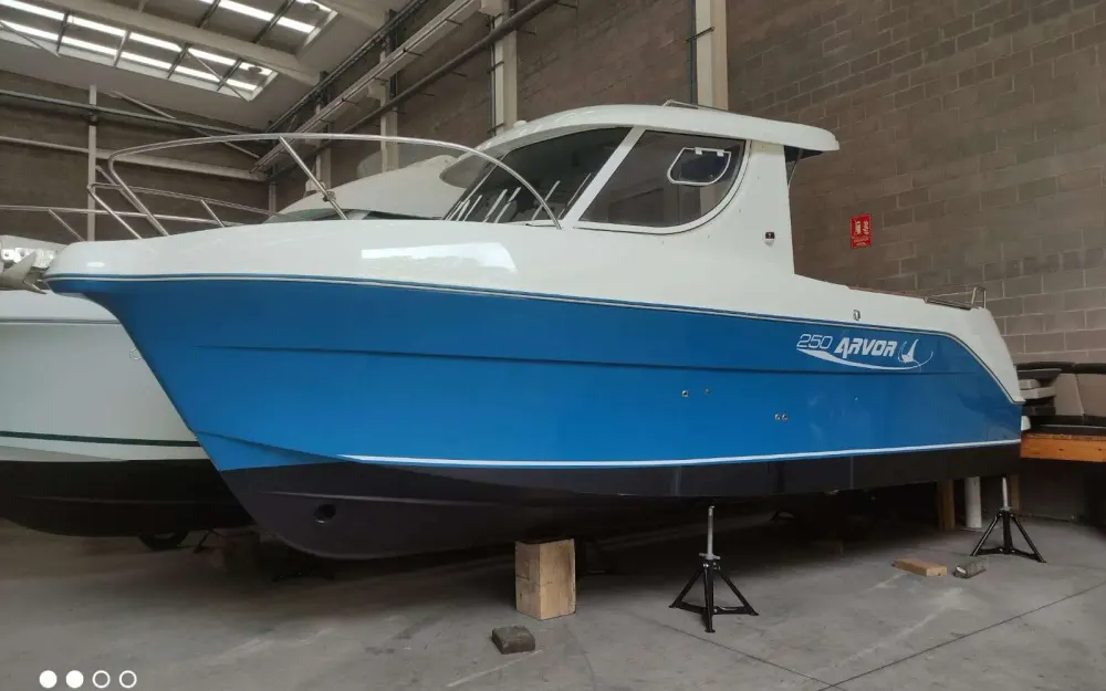 ArvorArvor 250