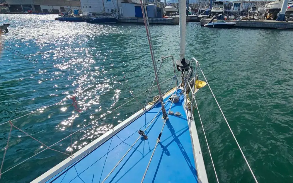 slider 29 Judel Vrolijk 45