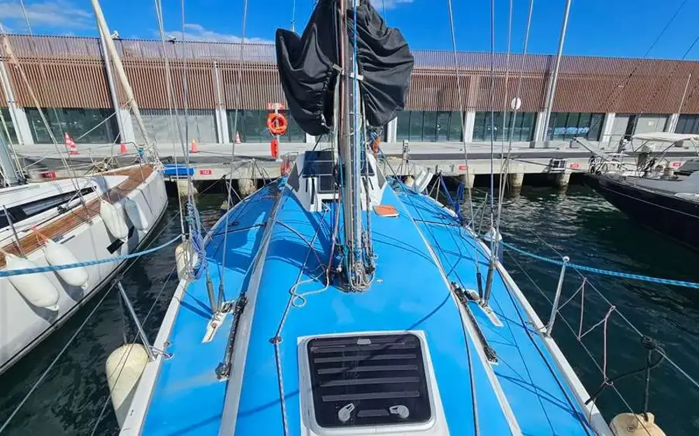 slider 56 Judel Vrolijk 45