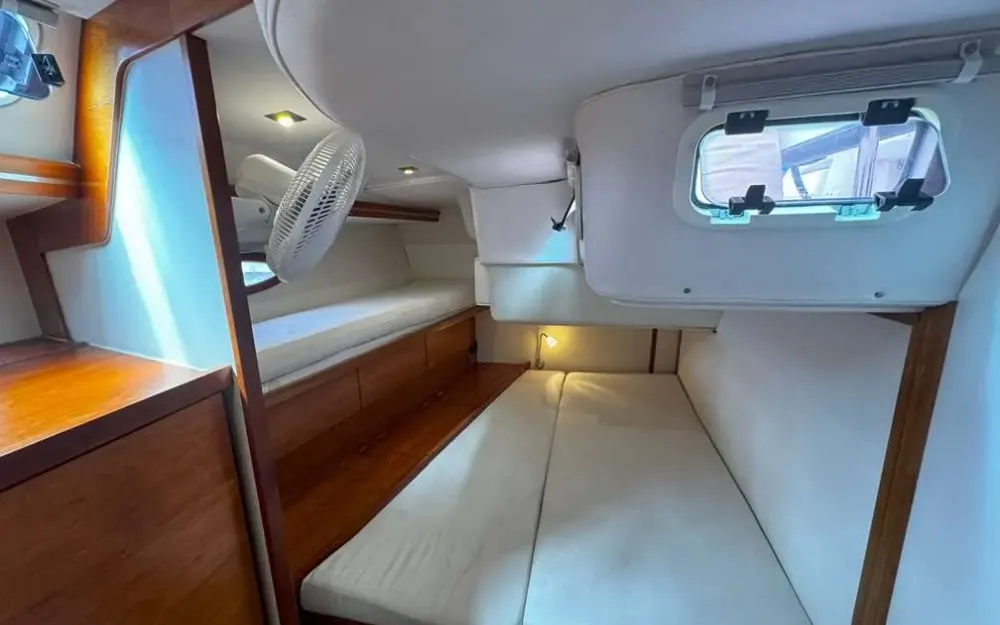 slider 11 Hanse  531 - null
