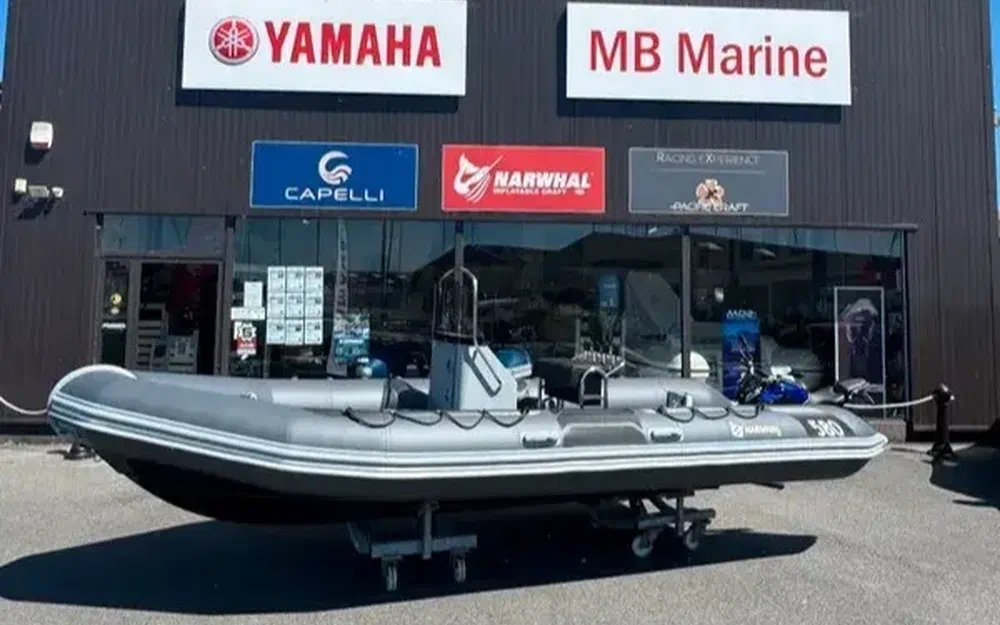 slider 0 Narwhal HD 580