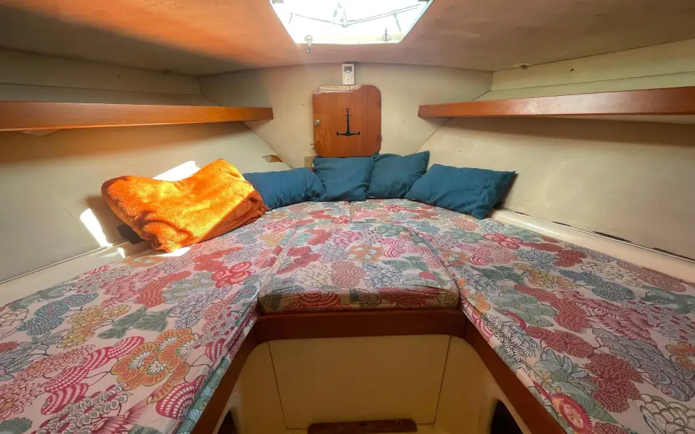 slider 36 Riva Bertram 25 Sport Fisherman