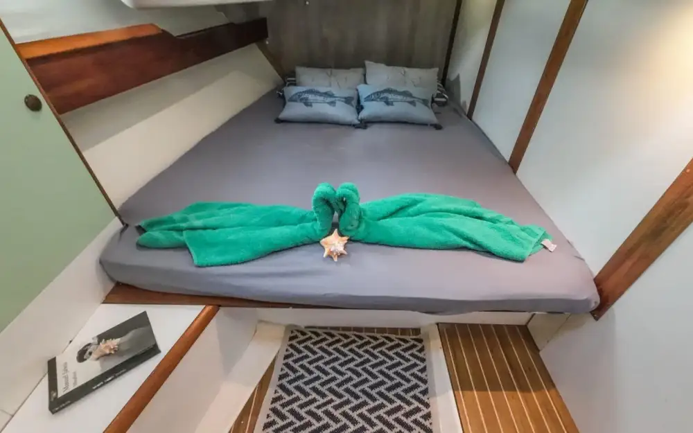 slider 1 Jeanneau Sun Odyssey 49