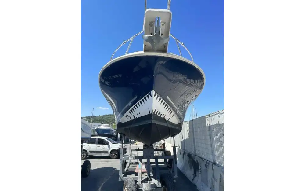 slider 5 Chris Craft Sea Hawk 215