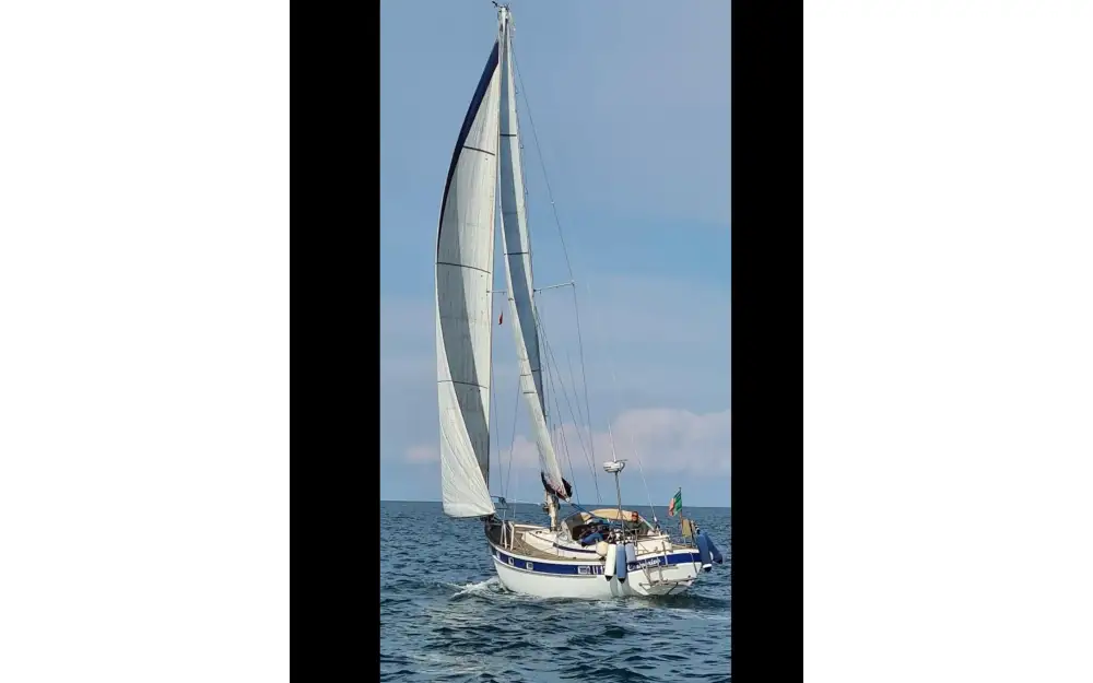 slider 8 Hallberg Rassy  38