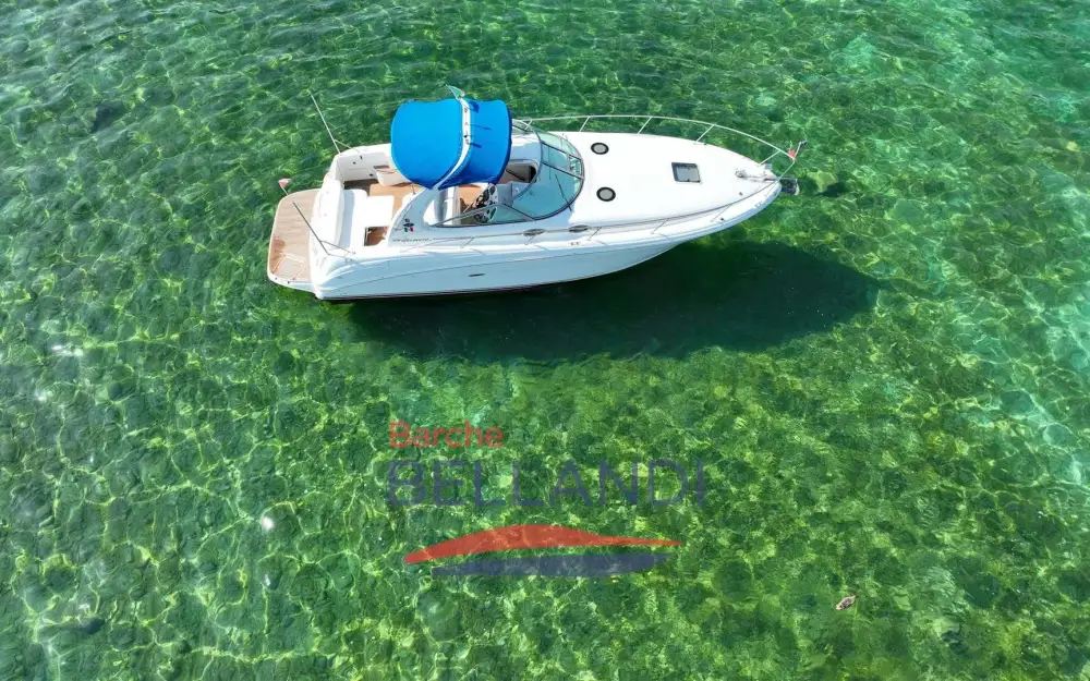 slider 3 Sea Ray  335 Sundancer