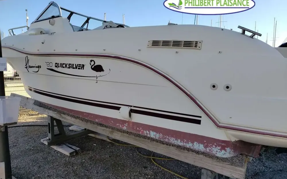 slider 0 Delphia Flamigo 620