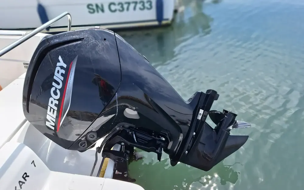 slider 7 B2 Marine Cap Ferret