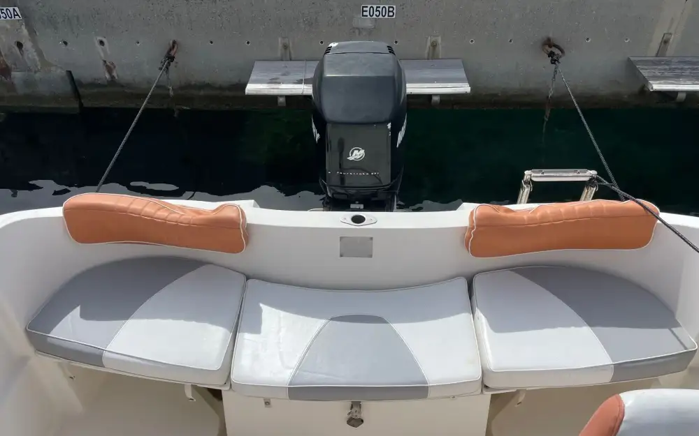 slider 7 Quicksilver  540 Cruiser