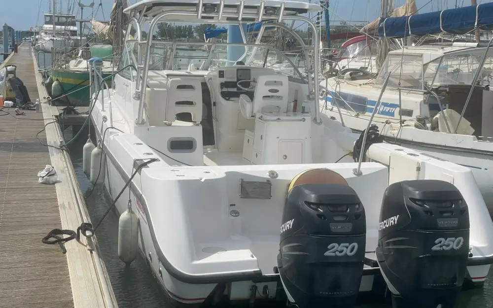 slider 1 Boston Whaler  305 Conquest