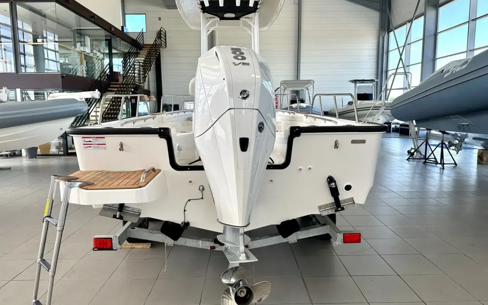slider 2 Boston Whaler  210 Montauk