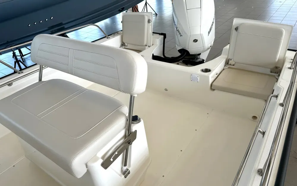 slider 6 Boston Whaler  210 Montauk