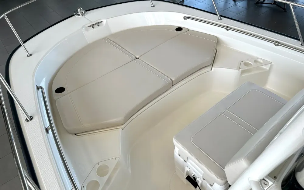 slider 7 Boston Whaler  210 Montauk