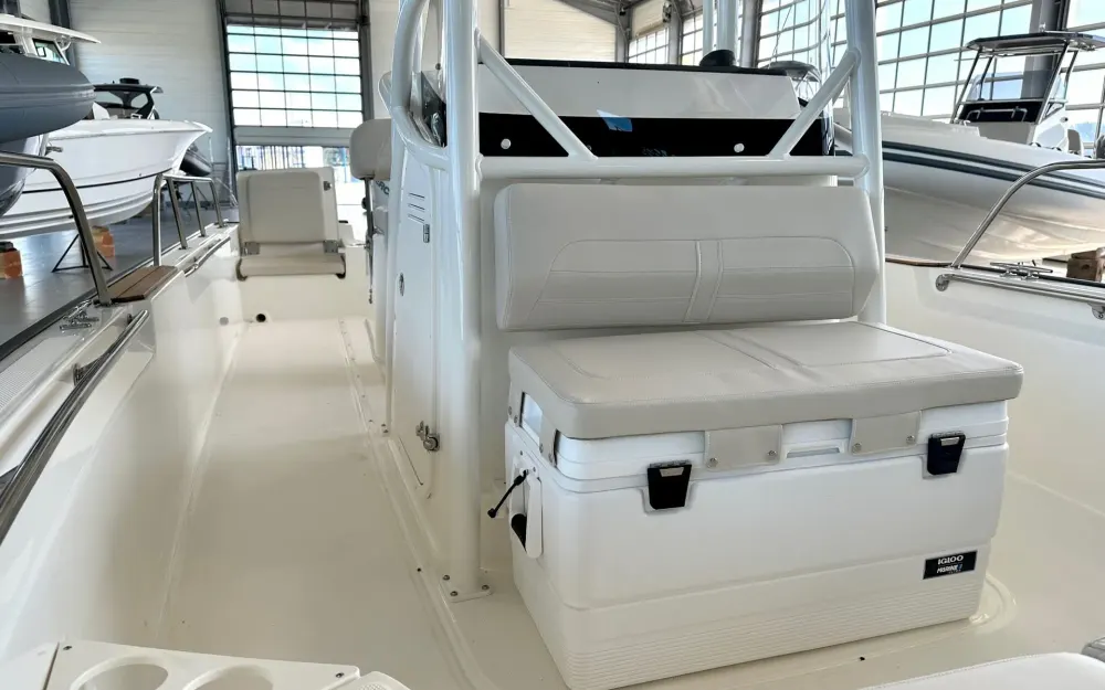 slider 8 Boston Whaler  210 Montauk
