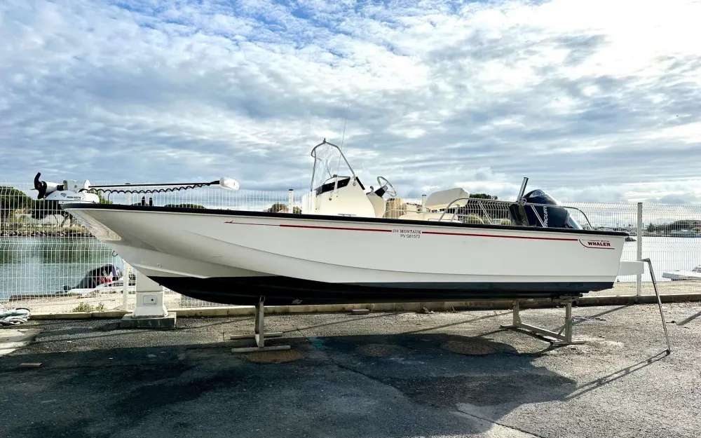 slider 0 Boston Whaler  210 Montauk