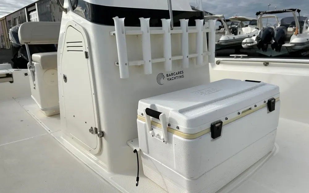 slider 9 Boston Whaler  210 Montauk