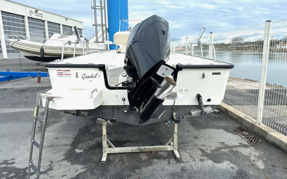 slider 11 Boston Whaler  210 Montauk