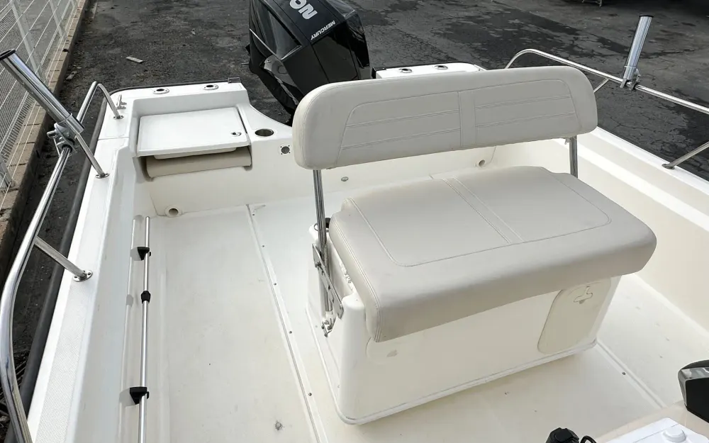 slider 3 Boston Whaler  210 Montauk