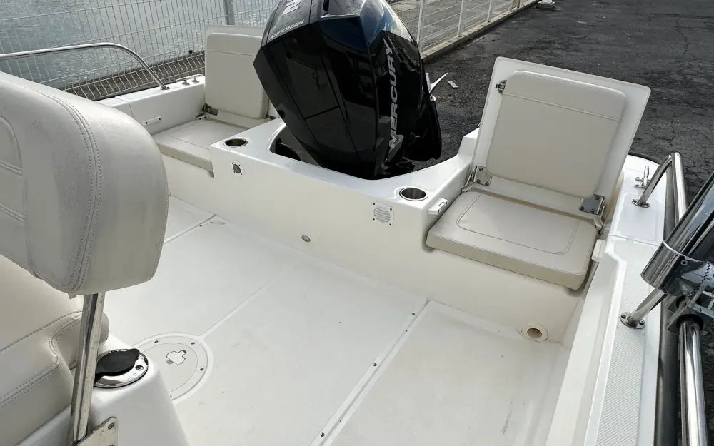 slider 5 Boston Whaler  210 Montauk