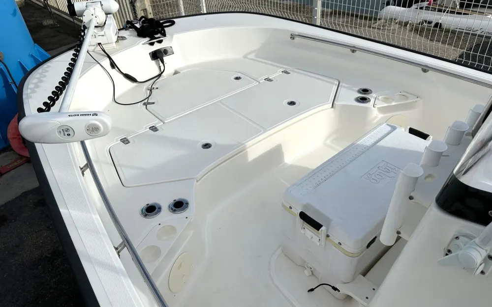 slider 7 Boston Whaler  210 Montauk