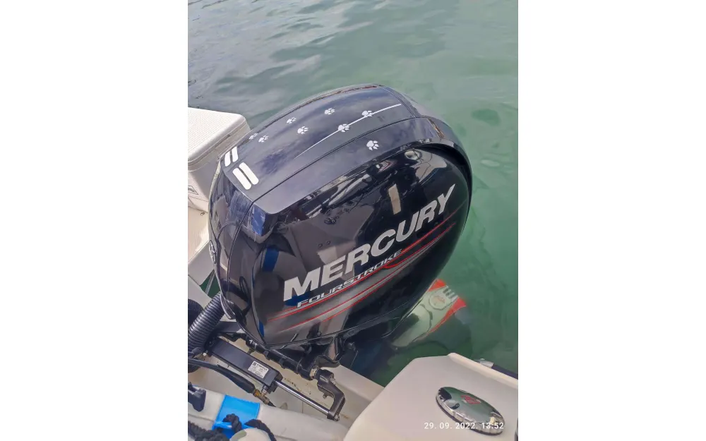 slider 21 Quicksilver  605 Timonier