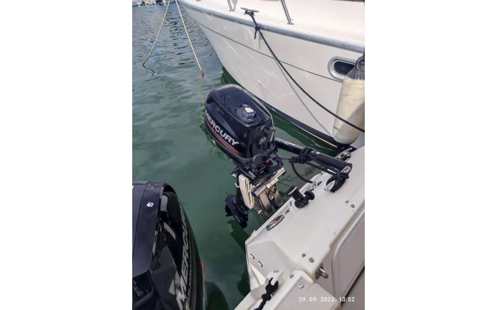 slider 8 Quicksilver  605 Timonier