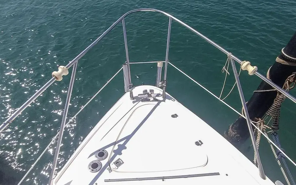 slider 11 Sealine  F 34