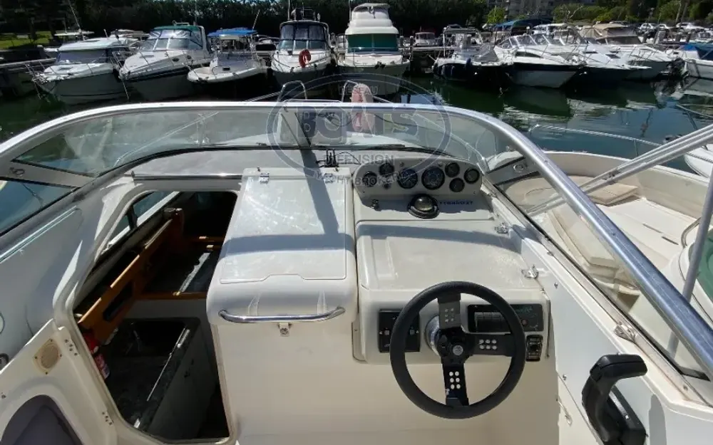 slider 8 Sealine  240 Senator
