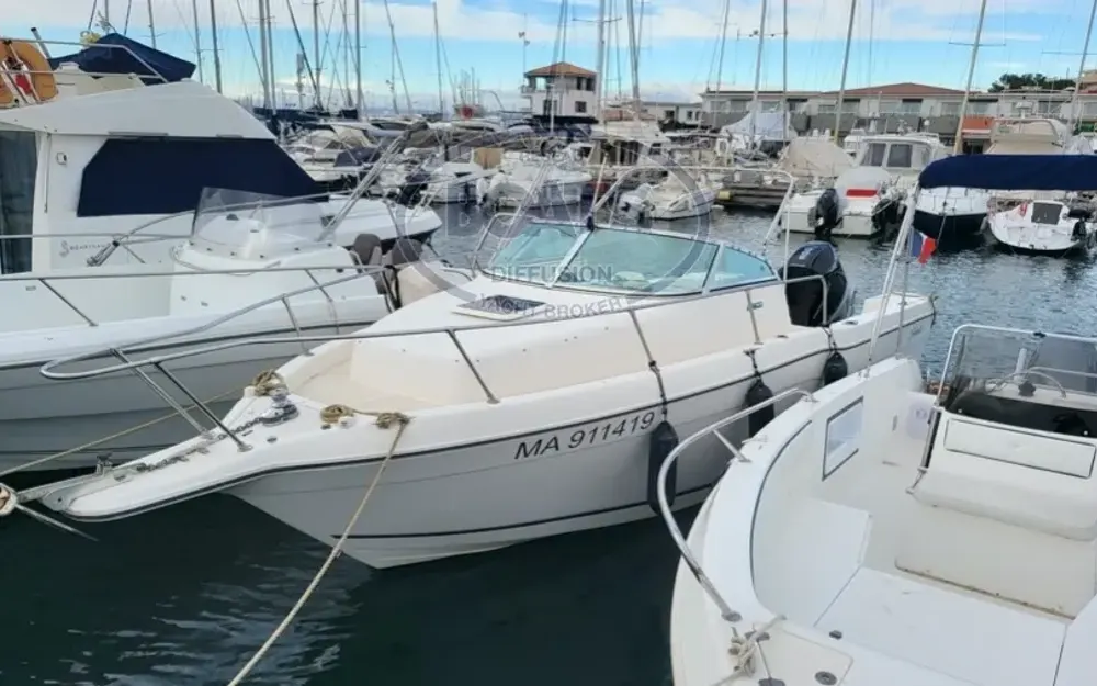 slider 2 Seaswirl Striper 2600