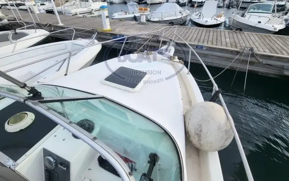 slider 7 Seaswirl Striper 2600