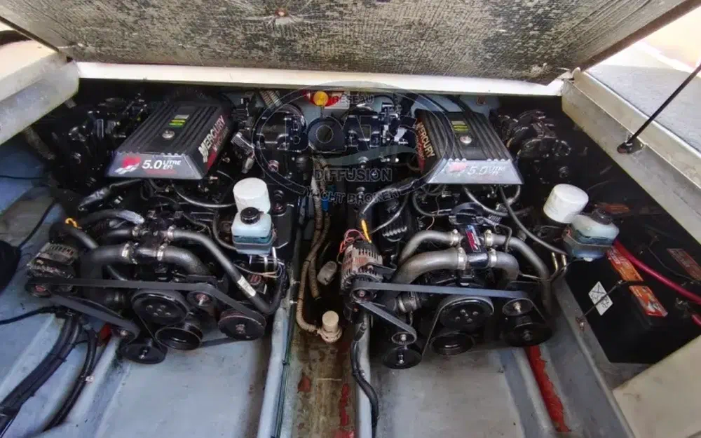 slider 7 Sea Ray Amberjack 290