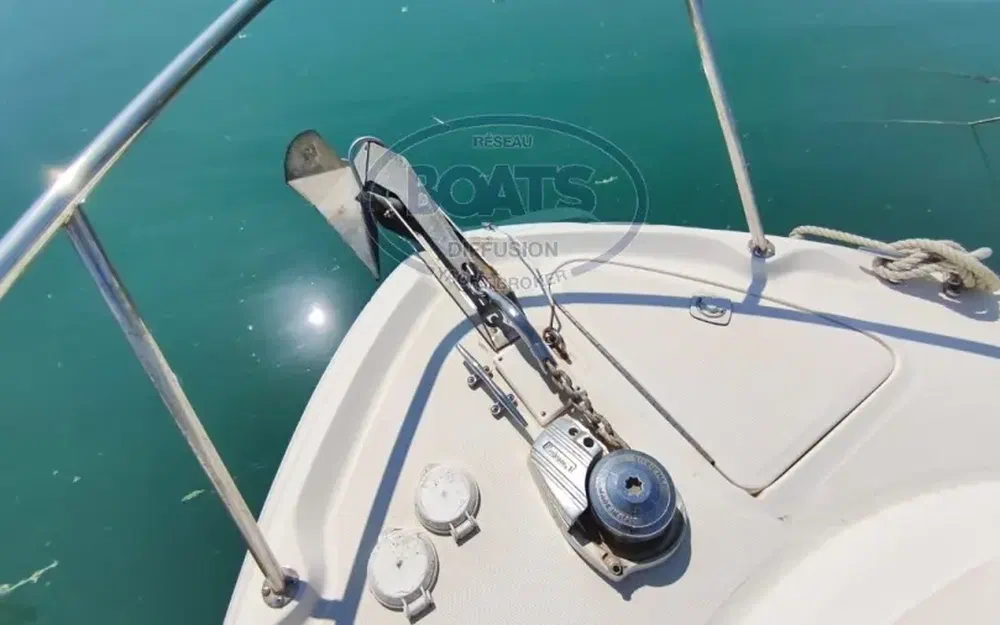 slider 8 Sea Ray Amberjack 290