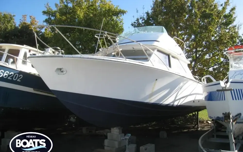 slider 0 Bertram  28 Flybridge