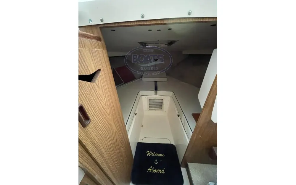 slider 11 Bertram  28 Flybridge