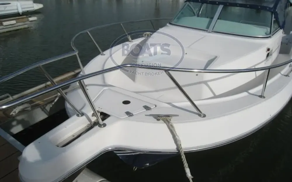 slider 1 Kelt White Shark 237